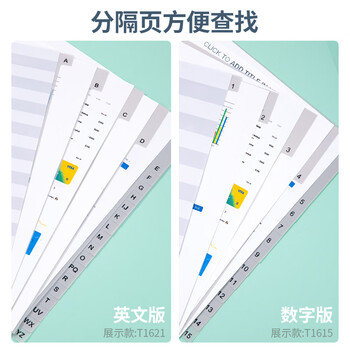 金得利11孔分页纸A4隔页纸15页1套灰色index索引纸文件夹活页纸塑料pp分类卡目录页标签分办公用品T1615