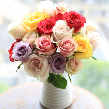 师诗美 云南昆明基地直发玫瑰花 鲜花直批一扎20支家用插花 多色混合