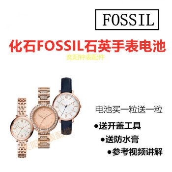 白駒一樹 Fossil-9 50/350-