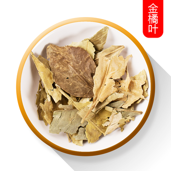 晗畅 精选金橘叶 桔叶 橘叶 桔子叶 金桔叶 金橘