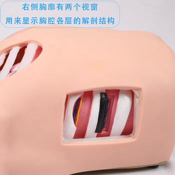优模胸腔穿刺模拟训练模块张力性气(血)胸呼吸维持技术胸腔穿刺和胸腔闭式引流训练YOMO/L67可定制