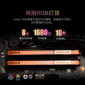 宏碁掠夺者（PREDATOR）32G(16G×2)套装 DDR5 6800频率 台式机内存条 Vesta II 炫光星舰RGB灯条(C32) 石耀黑 AI电脑配件