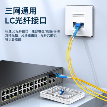 胜为 光纤终端面板 斜口86型LC单口光纤插座面板家庭办公酒店光纤入户网络信息底盒模块工程套装CMBLC01H 胜为 光纤终端面板 斜口86型LC单口光纤插座面板家庭办公酒店光纤入户网络信息底盒模块工程套装CMBLC01H