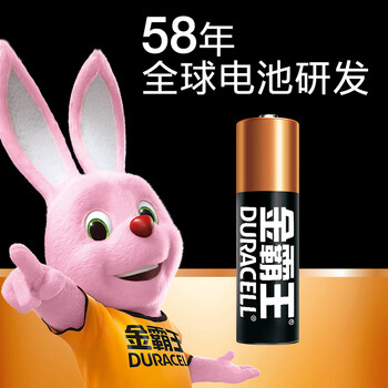 金霸王(Duracell)5号碱性电池12粒装  适用博朗耳温枪/血糖仪/鼠标/键盘/血压计/电子秤/遥控器/儿童玩具