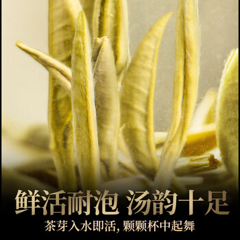 传奇会茶叶 福鼎白茶白毫银针礼盒装300g 老白茶紧压茶饼自己喝送礼