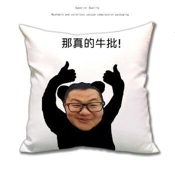 igiftfire孙笑川抱枕孙笑川同款抱枕儒雅随和晦气恶搞田所浩二香蕉君