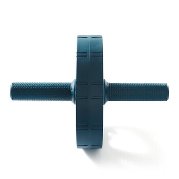 迪卡侬健腹轮 天蓝色单轮 2963287 均码 迪卡侬健腹轮 天蓝色单轮 2963287 均码