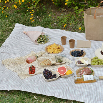 幻薄坐垫野餐hellowhale浅色格子野餐垫ins风公园野餐布防水野餐地布