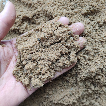 天然河沙细沙 养花沙 鱼缸底沙 长江河沙 河砂 10斤河沙