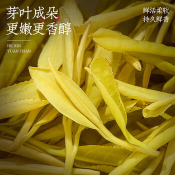 福茗源绿茶 安吉黄金芽奶白茶 浓香型特级明前新茶茶叶礼盒送长辈250g