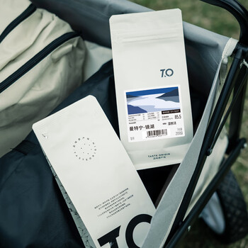 TO精品咖啡豆 印尼苏门答腊曼特宁镜湖200g 湿刨法 原产地手冲单品