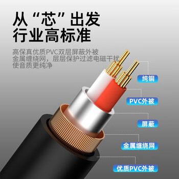 臻威(ZHENWEI)3.5mm转双卡侬公头音频线 3.5转卡农XLR公对公公电脑声卡接音响连接线功放调音台线 3M