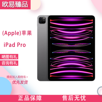 苹果新iPad Pro 12.9英寸256GB排行- 京东