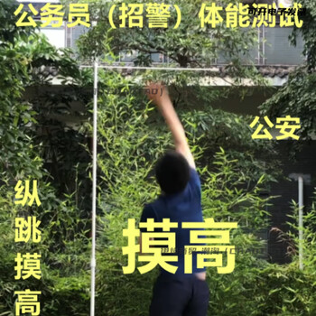 jd推荐 摸高测量杆 纵跳摸高器材体能招警考试训练摸高杆体能t 1套摸