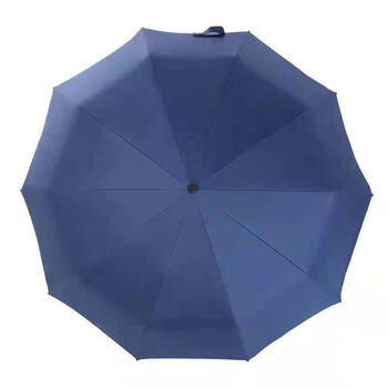 鲁凤来. 雨伞 全自动开合双人加大一键开收黑胶防晒10骨商务伞 (藏青色)