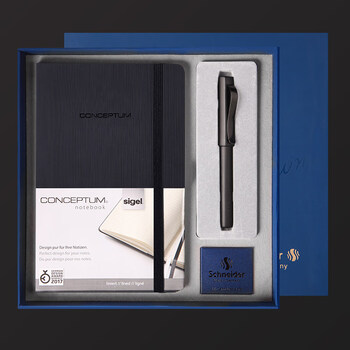 施耐德（Schneider）【礼物】钢笔笔记本套装礼盒 成人签字直液式墨水笔办公用 男女礼物-F尖贝斯麦9262