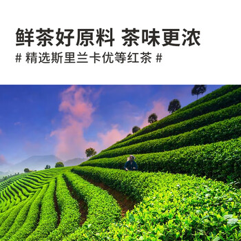 富家仔 香滑港式奶茶粉600g 马来西亚进口拉茶丝滑奶茶快乐续命水下午茶 富家仔 香滑港式奶茶粉600g 马来西亚进口拉茶丝滑奶茶快乐续命水下午茶
