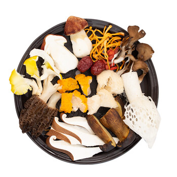 新鲜菌菇云南非野生菌羊肚菌鸡枞菌姬松茸牛肝菌竹荪火锅食材组合1000