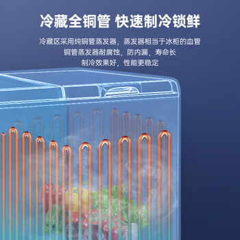澳柯玛（AUCMA）双温系列203升双箱家用冰柜 冷藏冷冻卧式双门钢板冰箱冷藏全铜管一级能效 BCD-203CNE