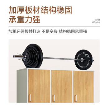 海艾珈更衣柜员工柜木制柜子储物柜带锁健身房瑜伽馆浴室寄存柜八门衣柜