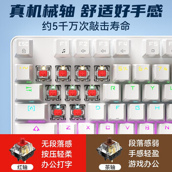 B.O.W航世G19 有线机械键盘 热插拔机械键盘 电脑办公键盘 电竞游戏键盘 87键混光键盘  茶轴 黑色