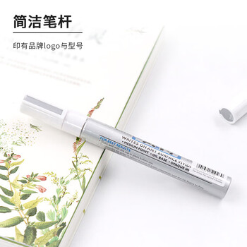 斑马牌（ZEBRA）油漆笔 油性记号笔 大号物流笔签名笔/马克笔 PAINT-MOP 银色 10支装