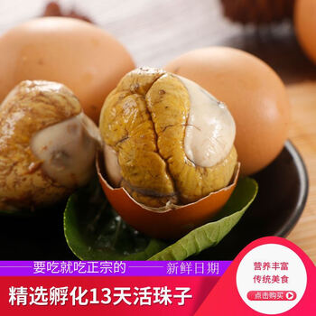 13天毛蛋熟无毛钢化蛋喜蛋活珠鸡蛋开袋即食批发 香辣活珠子带蘸料 40