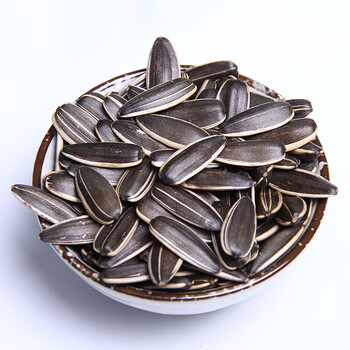 老郭家铺子新炒葵瓜子 原味炒瓜子散装零食炒货120g 满额 原味