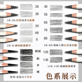 青竹画材（CHINJOO）流光白素描速写专业炭笔铅笔美术生专用绘画14B素描绘画绘图12支装HB美术写生画画笔