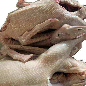 大鹅肉整只散养农村笨鹅大白鹅现杀冷冻鹅肉新鲜大鹅8斤到8斤半装