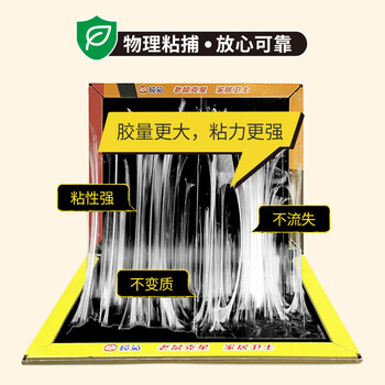 榄菊超强力粘鼠板5片老鼠贴抓老鼠捕鼠胶贴 加厚加黏 榄菊超强力粘鼠板5片老鼠贴抓老鼠捕鼠胶贴 加厚加黏
