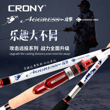 CRONY科尼攻撃三代新款枪柄直柄远投竿翘嘴鲈鱼大物路亚竿 直柄2.46米中软 AGS3-812ML