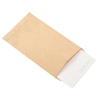 递乐 2号牛皮纸信封袋定制票据工资袋 牛皮纸邮局标准信封100个/包 4602 递乐 2号牛皮纸信封袋定制票据工资袋 牛皮纸邮局标准信封100个/包 4602
