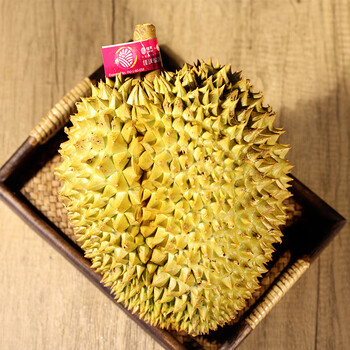 大左佳沃a级老树金枕榴莲新鲜水果整个单果重4555斤1颗