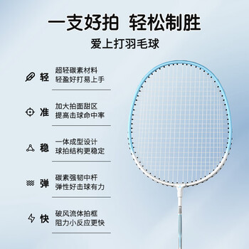 匹克 羽毛球拍对拍耐打成人学生套装训练比赛拍金铠甲 歌鸲蓝/酸绿