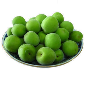 现摘现发脆青梅泡酒水果青梅酒酵素诏安梅子鲜果鲜青梅新鲜青梅果 5斤