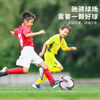 世达（star）足球5号儿童少儿标准比赛训练专用球校园世界杯PVC耐磨SB8235-04