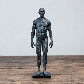 绘画人体模型品牌及商品- 京东