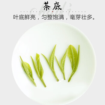 天旭茶叶绿茶2025新茶春茶明前白茶安吉茗茶散装珍稀白茶特级单罐125g 天旭茶叶绿茶2025新茶春茶明前白茶安吉茗茶散装珍稀白茶特级单罐125g