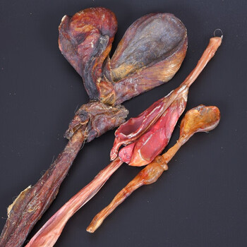 干驴鞭大个牛鞭黄狗鞭泡酒药材男性滋补可搭肉苁蓉锁阳韭菜籽淫羊藿