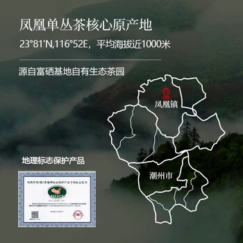 顶青湖 特级高山蜜兰香凤凰单枞茶 头春碳焙老枞潮州乌岽单丛乌龙茶250g
