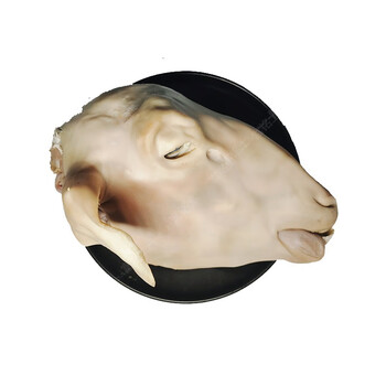 富铭士羊头新鲜整只头羊带皮冷冻清真生羊头整个羊头生鲜羊头肉