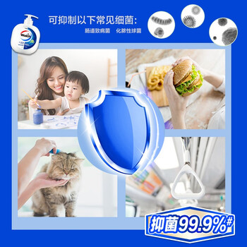 威露士健康抑菌洗手液青柠盈润480ml大瓶 杀菌99.9% 泡沫细腻易冲洗护手