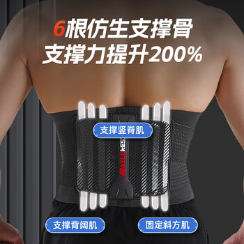 耐力克斯（NAILEKESI N）护腰带男士健身腰带运动束腰带跑步硬拉深蹲举重护腰腰间盘突出L