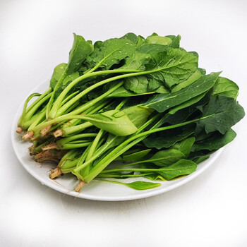 京觅京东鲜蔬菠菜苗250g