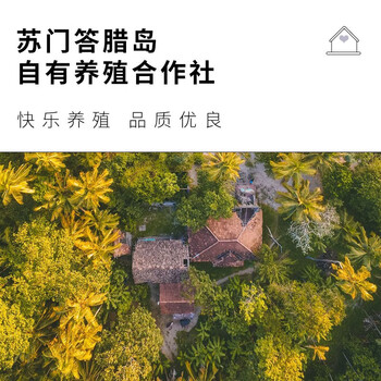 野鼬咖啡 印尼猫屎咖啡豆麝香猫咖啡20g*6 珍藏版高端送礼过年货节礼盒装 野鼬咖啡 印尼猫屎咖啡豆麝香猫咖啡20g*6 珍藏版高端送礼过年货节礼盒装