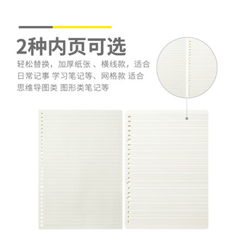 晨光（M&G）B5/26孔活页本替芯英语款记事本笔记本横线活页内芯线圈纸HB5A10B 100张/包