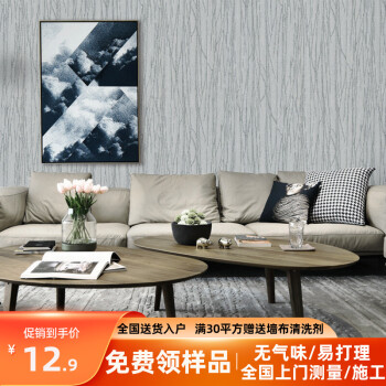 雅琪蔓 无缝防水壁布墙布 客厅卧室现代简约欧式美式墙布 DW09-银灰色/每平方