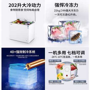 澳柯玛冷藏冷冻转换冰柜BC/BD-202NE 202升