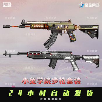 芮帕pubg绝地求生cdk枪皮肤小兔学院步枪套装ace武器sks吃鸡 小兔学院